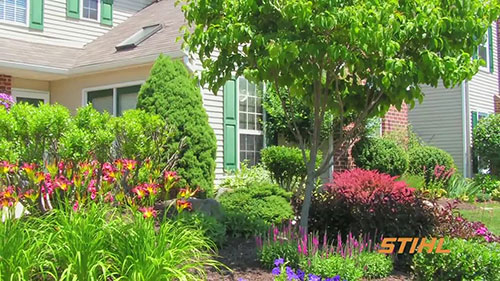 选择适宜种植的树木