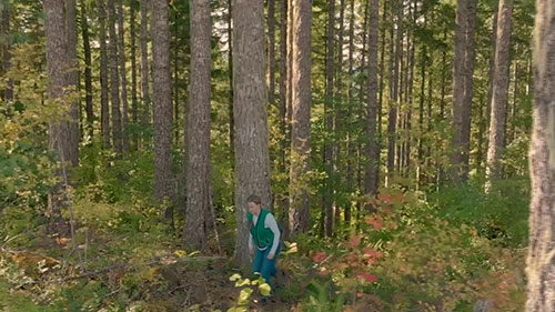 可持续森林和木材产品