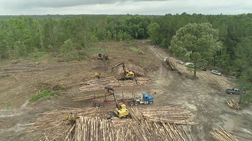 可持续林业在佐治亚州的发展