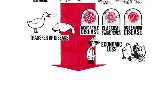 粮农组织如何预防传染病