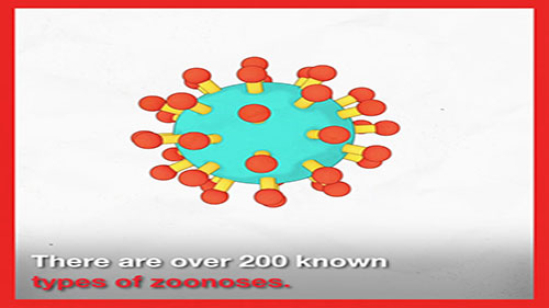 什么是人畜共患病