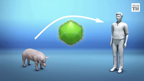 人畜共患病基础知识