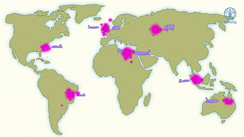 口蹄疫基础知识