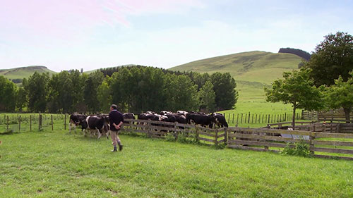 新西兰寄生虫管理计划