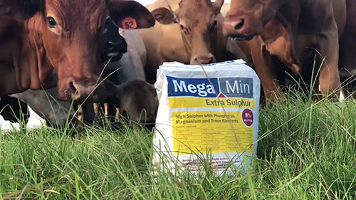 用硫补充剂控制寄生虫