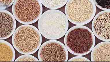 全谷物的营养成分