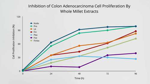小米是一种健康谷物吗
