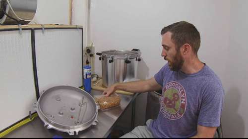 如何制作谷物的种子