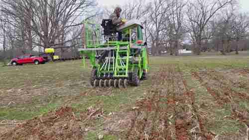在北卡罗莱纳种植谷物