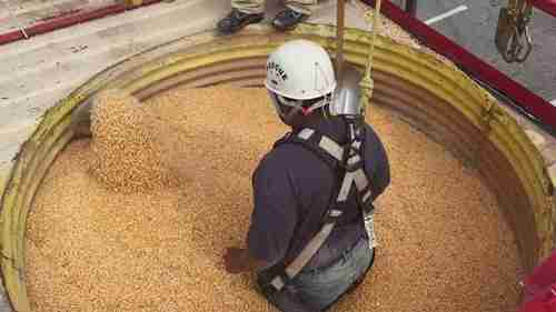 粮食质量的补救措施