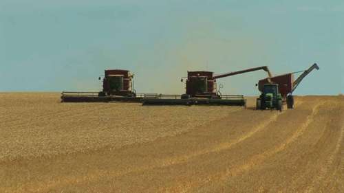 全球谷物处理解决方案