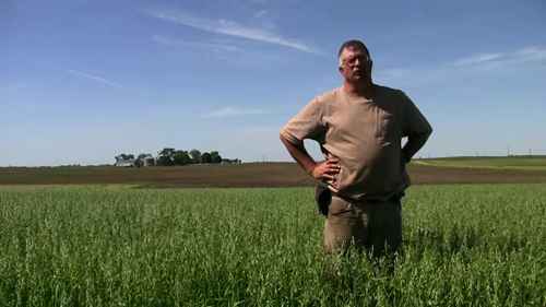 小粒谷物的营销