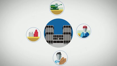 粮食的销售策略