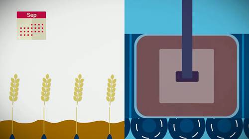 粮食市场的运营