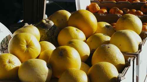 参观一座农贸市场