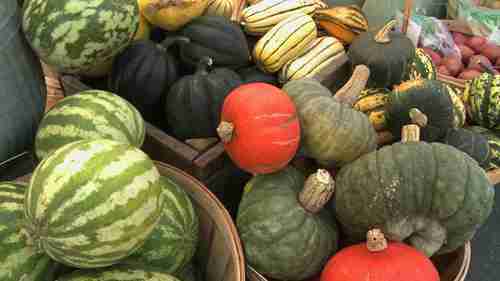 农贸市场经营建议