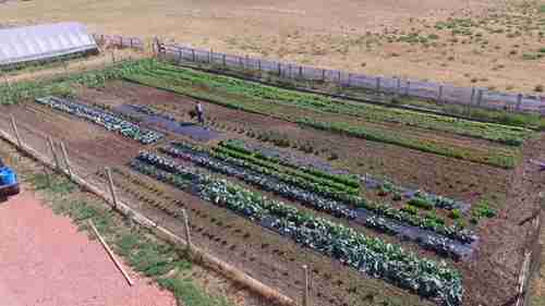 怀俄明州的农贸市场旺季