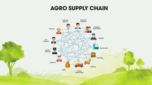 了解农产品供应链