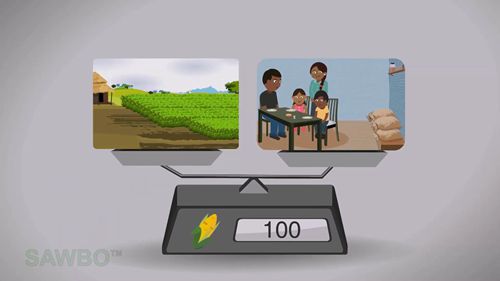 农产品的供需和价格