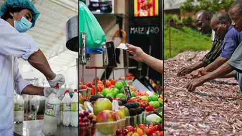 小规模农业生产者和粮食供应
