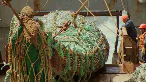 更深更远的可持续捕鱼业