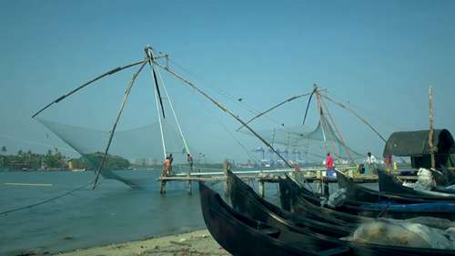 过度捕捞的影响