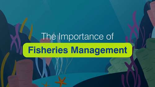 渔业管理的重要性
