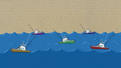 探寻加拿大东海岸鳕鱼产量问题