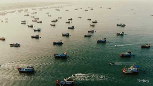 商业捕鱼对土著社区的影响