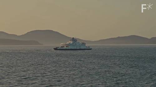 机器人阻止非法捕鱼