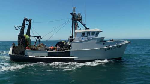 美国西海岸渔业的发展