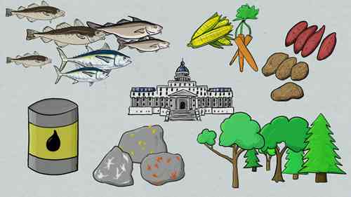 渔业补贴和税收