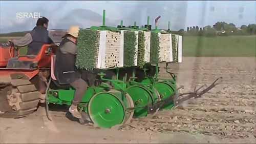 使用先进的农业机械栽培番茄