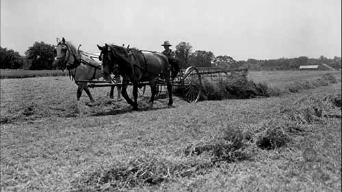 20世纪初的农场机械化