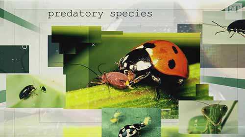 抗击农业害虫的方式