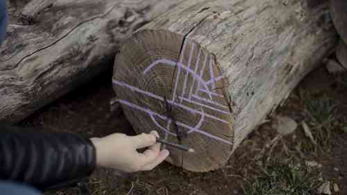 如何选择正确的木材