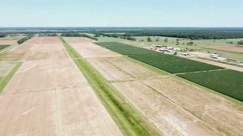 棉花产量的估算