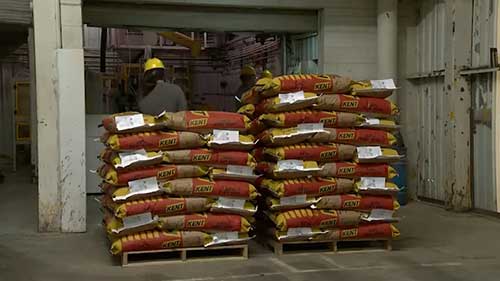 参观肯特集团饲料加工厂