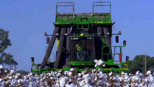 新南威尔士州的棉花生产