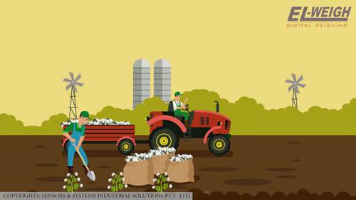 棉花的轧花加工