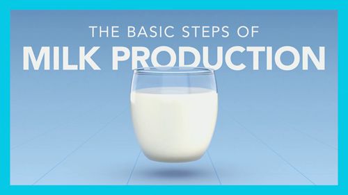 牛奶生产的基本步骤