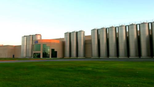 参观一座乳品厂