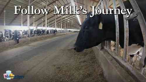 牛奶的旅程