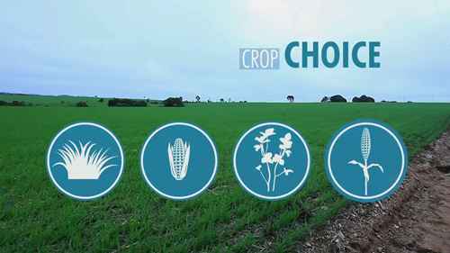 参观一座智能奶牛场