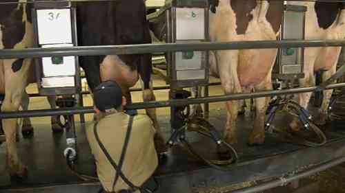 参观McCarty家庭农场