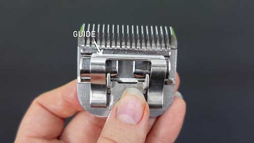 给宠物狗修剪时如何选择剪刀