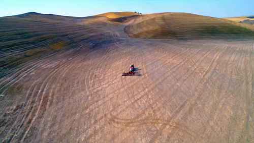 华盛顿的小麦种植