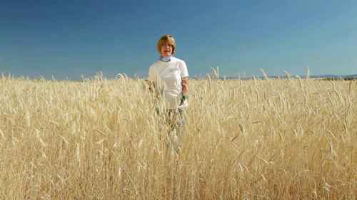 小麦收获小贴士