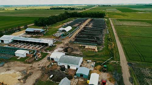 农作物和牲畜一体化发展