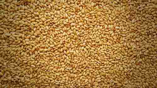 面粉的制作方法